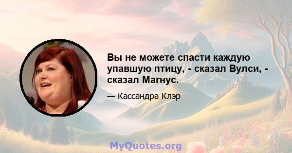 Вы не можете спасти каждую упавшую птицу, - сказал Вулси, - сказал Магнус.