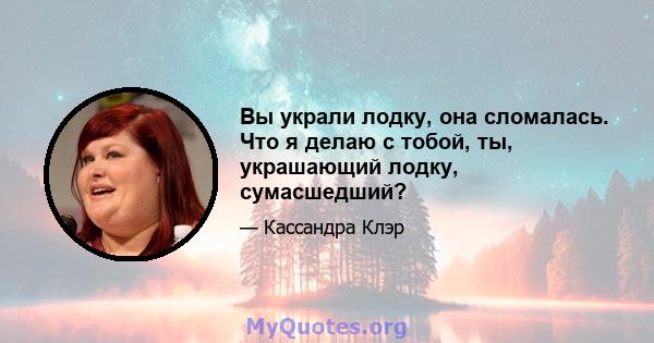 Вы украли лодку, она сломалась. Что я делаю с тобой, ты, украшающий лодку, сумасшедший?