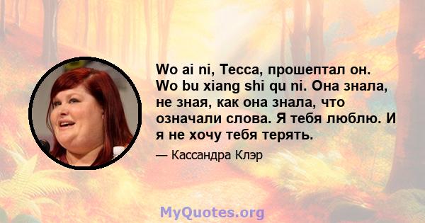 Wo ai ni, Тесса, прошептал он. Wo bu xiang shi qu ni. Она знала, не зная, как она знала, что означали слова. Я тебя люблю. И я не хочу тебя терять.