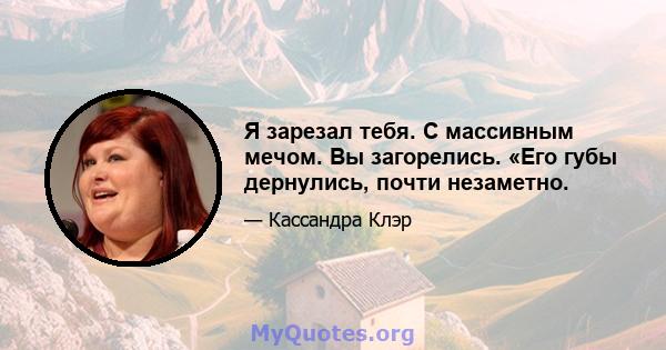 Я зарезал тебя. С массивным мечом. Вы загорелись. «Его губы дернулись, почти незаметно.