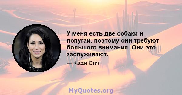 У меня есть две собаки и попугай, поэтому они требуют большого внимания. Они это заслуживают.