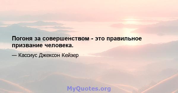 Погоня за совершенством - это правильное призвание человека.