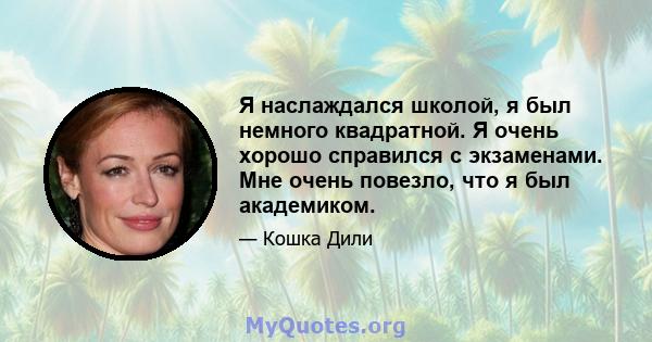 Я наслаждался школой, я был немного квадратной. Я очень хорошо справился с экзаменами. Мне очень повезло, что я был академиком.