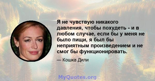 Я не чувствую никакого давления, чтобы похудеть - и в любом случае, если бы у меня не было пищи, я был бы неприятным произведением и не смог бы функционировать.