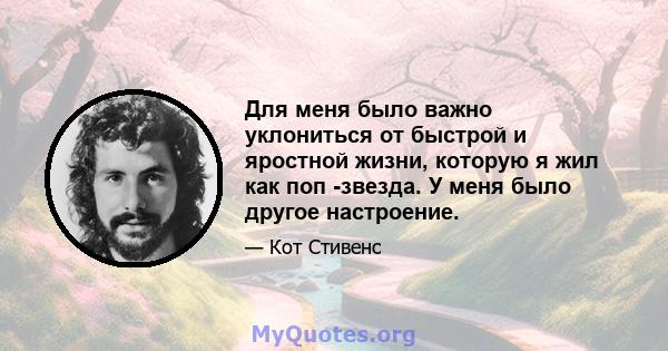 Для меня было важно уклониться от быстрой и яростной жизни, которую я жил как поп -звезда. У меня было другое настроение.