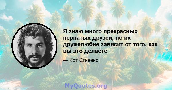 Я знаю много прекрасных пернатых друзей, но их дружелюбие зависит от того, как вы это делаете