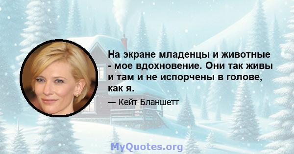 На экране младенцы и животные - мое вдохновение. Они так живы и там и не испорчены в голове, как я.