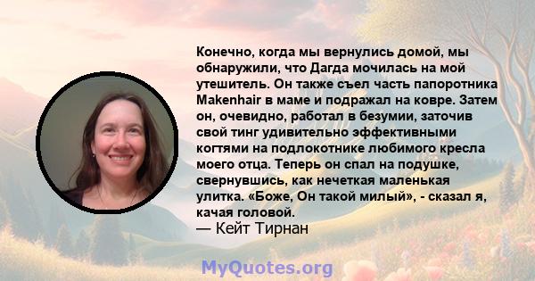 Конечно, когда мы вернулись домой, мы обнаружили, что Дагда мочилась на мой утешитель. Он также съел часть папоротника Makenhair в маме и подражал на ковре. Затем он, очевидно, работал в безумии, заточив свой тинг