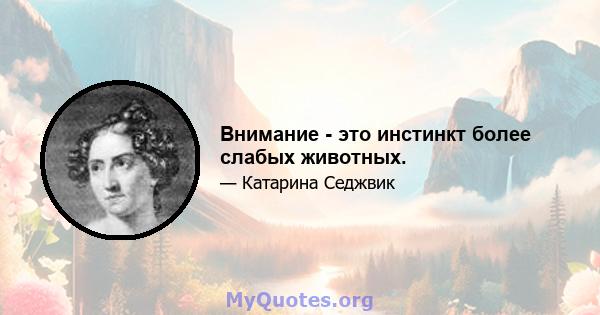 Внимание - это инстинкт более слабых животных.