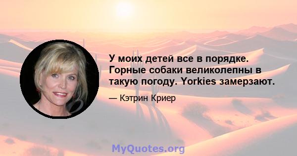 У моих детей все в порядке. Горные собаки великолепны в такую ​​погоду. Yorkies замерзают.