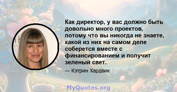 Как директор, у вас должно быть довольно много проектов, потому что вы никогда не знаете, какой из них на самом деле соберется вместе с финансированием и получит зеленый свет.