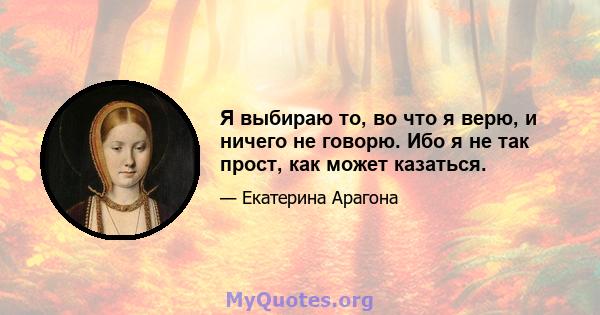 Я выбираю то, во что я верю, и ничего не говорю. Ибо я не так прост, как может казаться.