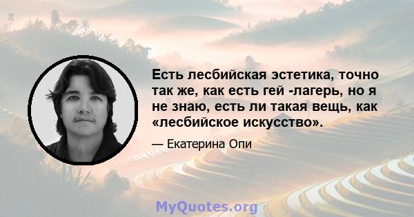 Есть лесбийская эстетика, точно так же, как есть гей -лагерь, но я не знаю, есть ли такая вещь, как «лесбийское искусство».