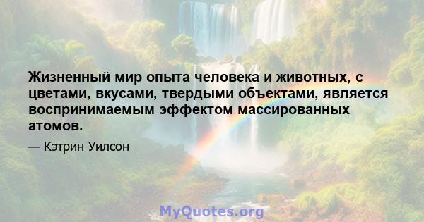 Жизненный мир опыта человека и животных, с цветами, вкусами, твердыми объектами, является воспринимаемым эффектом массированных атомов.