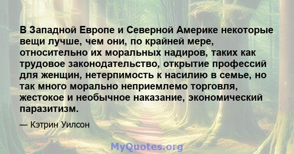 В Западной Европе и Северной Америке некоторые вещи лучше, чем они, по крайней мере, относительно их моральных надиров, таких как трудовое законодательство, открытие профессий для женщин, нетерпимость к насилию в семье, 