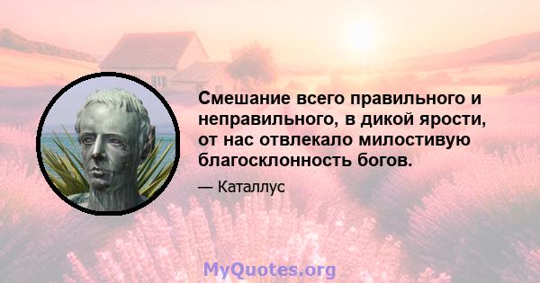 Смешание всего правильного и неправильного, в дикой ярости, от нас отвлекало милостивую благосклонность богов.