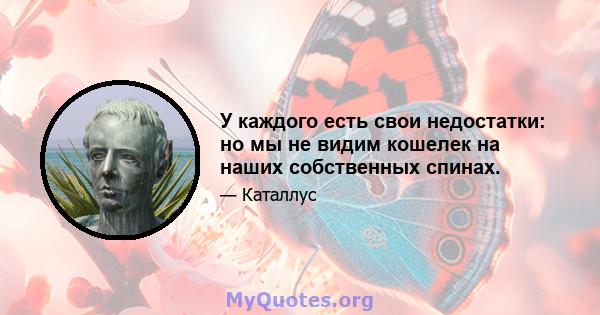 У каждого есть свои недостатки: но мы не видим кошелек на наших собственных спинах.