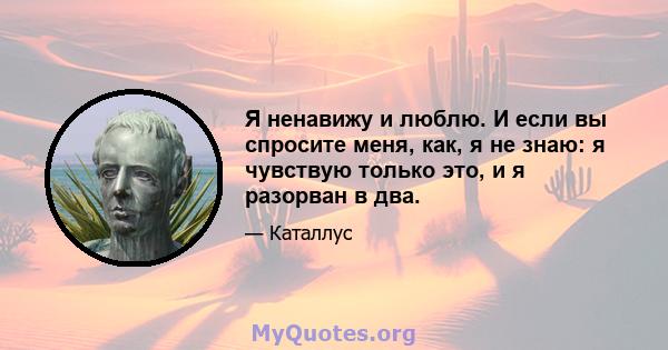 Я ненавижу и люблю. И если вы спросите меня, как, я не знаю: я чувствую только это, и я разорван в два.