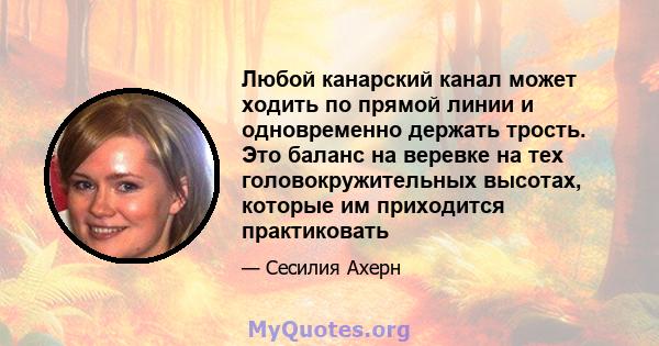 Любой канарский канал может ходить по прямой линии и одновременно держать трость. Это баланс на веревке на тех головокружительных высотах, которые им приходится практиковать