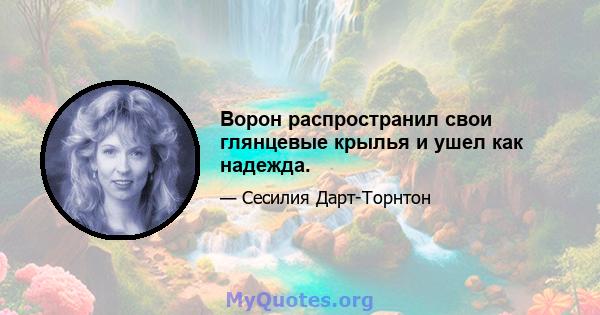 Ворон распространил свои глянцевые крылья и ушел как надежда.