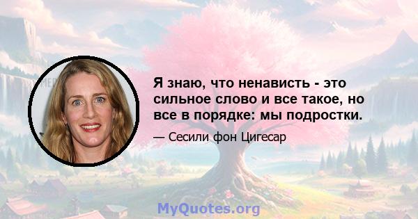 Я знаю, что ненависть - это сильное слово и все такое, но все в порядке: мы подростки.