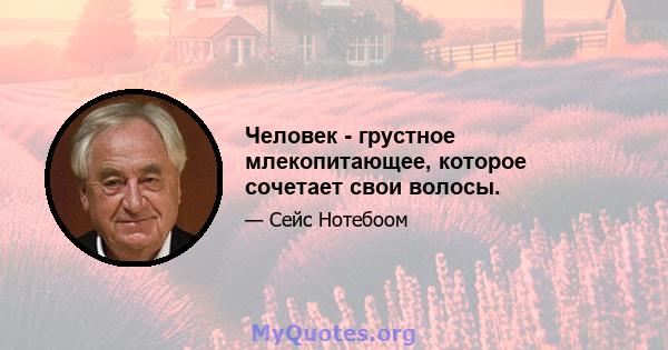 Человек - грустное млекопитающее, которое сочетает свои волосы.