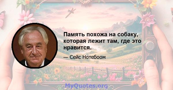 Память похожа на собаку, которая лежит там, где это нравится.