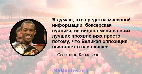 Я думаю, что средства массовой информации, боксерская публика, не видела меня в своих лучших проявлениях просто потому, что Великая оппозиция выявляет в вас лучшее.