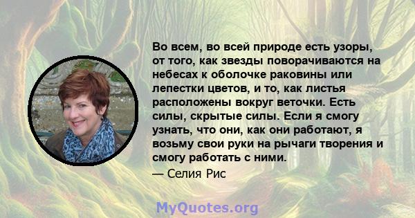 Во всем, во всей природе есть узоры, от того, как звезды поворачиваются на небесах к оболочке раковины или лепестки цветов, и то, как листья расположены вокруг веточки. Есть силы, скрытые силы. Если я смогу узнать, что