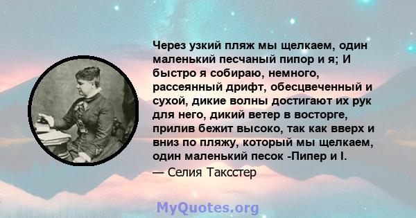 Через узкий пляж мы щелкаем, один маленький песчаный пипор и я; И быстро я собираю, немного, рассеянный дрифт, обесцвеченный и сухой, дикие волны достигают их рук для него, дикий ветер в восторге, прилив бежит высоко,