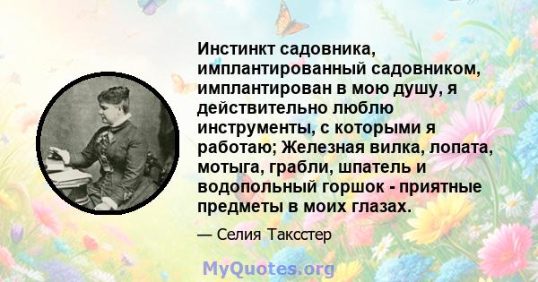 Инстинкт садовника, имплантированный садовником, имплантирован в мою душу, я действительно люблю инструменты, с которыми я работаю; Железная вилка, лопата, мотыга, грабли, шпатель и водопольный горшок - приятные