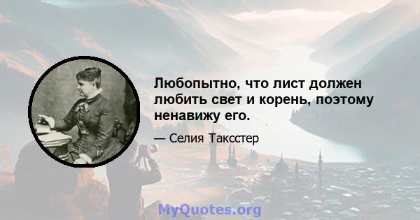 Любопытно, что лист должен любить свет и корень, поэтому ненавижу его.