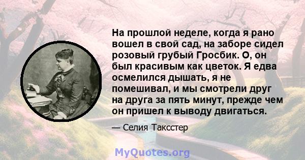 На прошлой неделе, когда я рано вошел в свой сад, на заборе сидел розовый грубый Гросбик. О, он был красивым как цветок. Я едва осмелился дышать, я не помешивал, и мы смотрели друг на друга за пять минут, прежде чем он