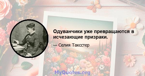 Одуванчики уже превращаются в исчезающие призраки.