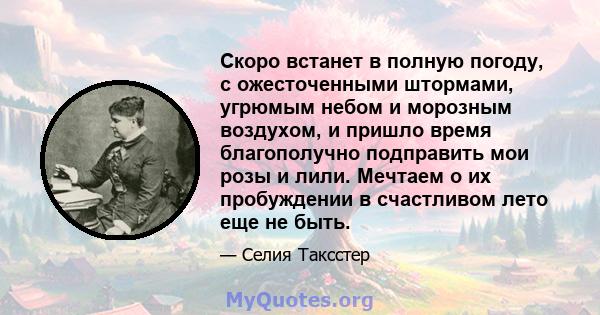 Скоро встанет в полную погоду, с ожесточенными штормами, угрюмым небом и морозным воздухом, и пришло время благополучно подправить мои розы и лили. Мечтаем о их пробуждении в счастливом лето еще не быть.