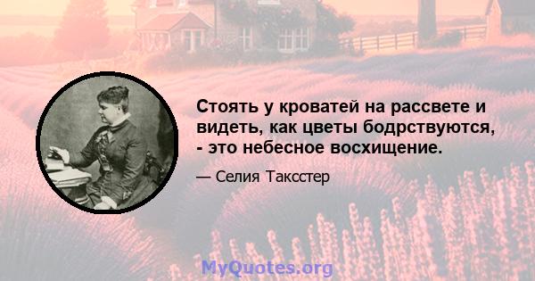 Стоять у кроватей на рассвете и видеть, как цветы бодрствуются, - это небесное восхищение.