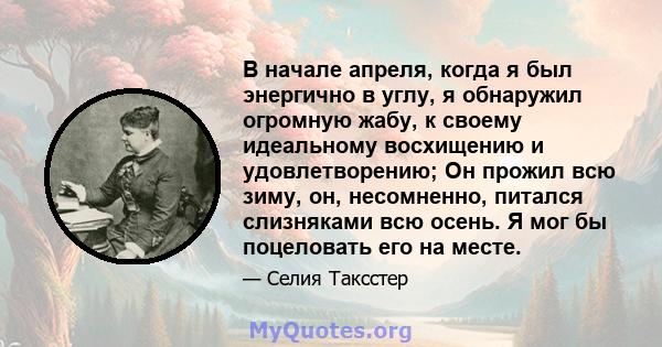 В начале апреля, когда я был энергично в углу, я обнаружил огромную жабу, к своему идеальному восхищению и удовлетворению; Он прожил всю зиму, он, несомненно, питался слизняками всю осень. Я мог бы поцеловать его на