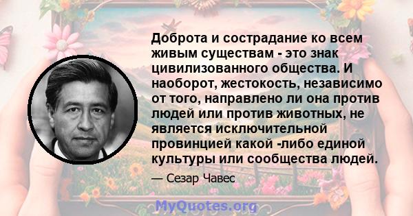 Доброта и сострадание ко всем живым существам - это знак цивилизованного общества. И наоборот, жестокость, независимо от того, направлено ли она против людей или против животных, не является исключительной провинцией