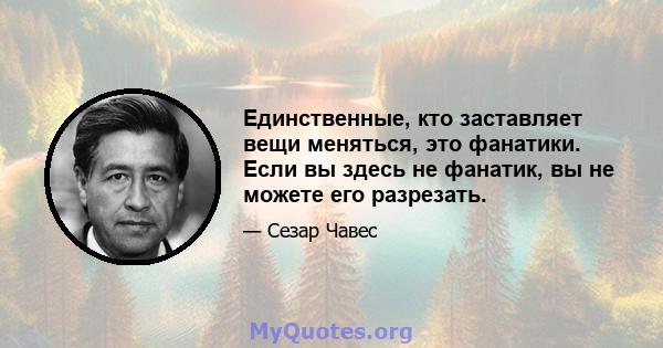 Единственные, кто заставляет вещи меняться, это фанатики. Если вы здесь не фанатик, вы не можете его разрезать.