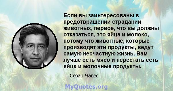 Если вы заинтересованы в предотвращении страданий животных, первое, что вы должны отказаться, это яйца и молоко, потому что животные, которые производят эти продукты, ведут самую несчастную жизнь. Вам лучше есть мясо и