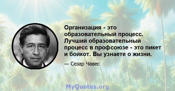 Организация - это образовательный процесс. Лучший образовательный процесс в профсоюзе - это пикет и бойкот. Вы узнаете о жизни.