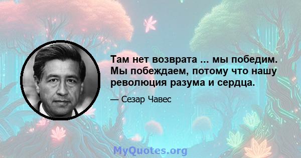 Там нет возврата ... мы победим. Мы побеждаем, потому что нашу революция разума и сердца.