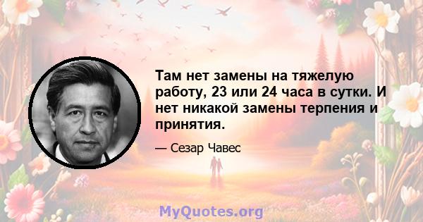 Там нет замены на тяжелую работу, 23 или 24 часа в сутки. И нет никакой замены терпения и принятия.