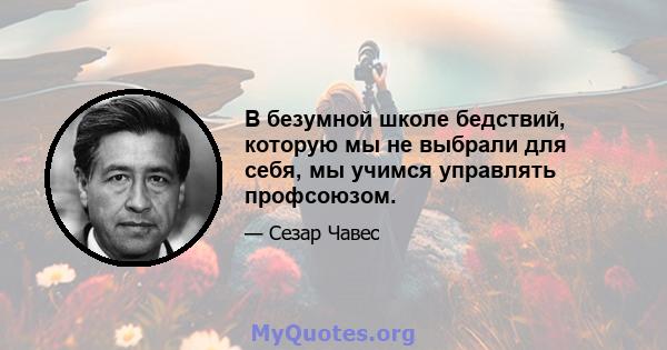 В безумной школе бедствий, которую мы не выбрали для себя, мы учимся управлять профсоюзом.