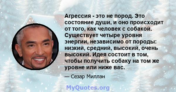 Агрессия - это не пород. Это состояние души, и оно происходит от того, как человек с собакой. Существует четыре уровня энергии, независимо от породы: низкий, средний, высокий, очень высокий. Идея состоит в том, чтобы