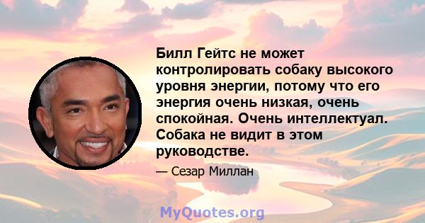 Билл Гейтс не может контролировать собаку высокого уровня энергии, потому что его энергия очень низкая, очень спокойная. Очень интеллектуал. Собака не видит в этом руководстве.