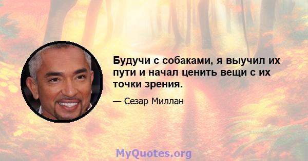 Будучи с собаками, я выучил их пути и начал ценить вещи с их точки зрения.