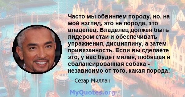 Часто мы обвиняем породу, но, на мой взгляд, это не порода, это владелец. Владелец должен быть лидером стаи и обеспечивать упражнения, дисциплину, а затем привязанность. Если вы сделаете это, у вас будет милая, любящая