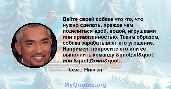 Дайте своей собаке что -то, что нужно сделать, прежде чем поделиться едой, водой, игрушками или привязанностью. Таким образом, собака зарабатывает его угощение. Например, попросите его или ее выполнить команду