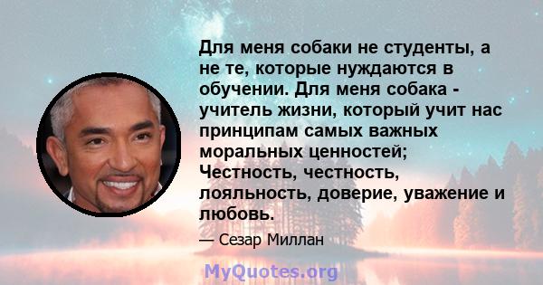 Для меня собаки не студенты, а не те, которые нуждаются в обучении. Для меня собака - учитель жизни, который учит нас принципам самых важных моральных ценностей; Честность, честность, лояльность, доверие, уважение и